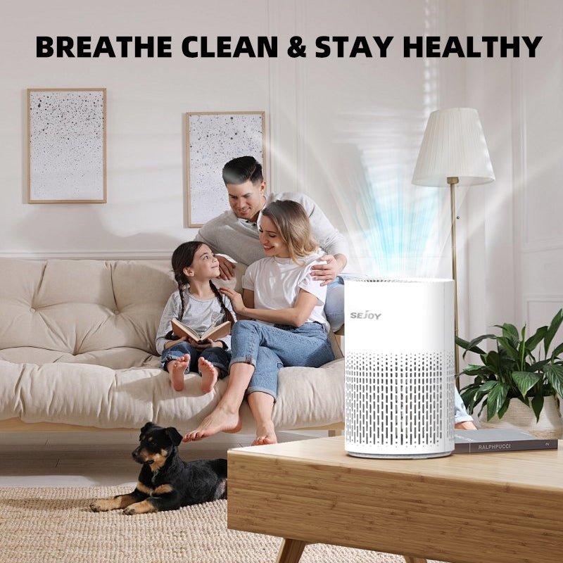 H13 HEPA Air Purifier - 360° Clean for Dust, Odors & Pollen - Samyonix