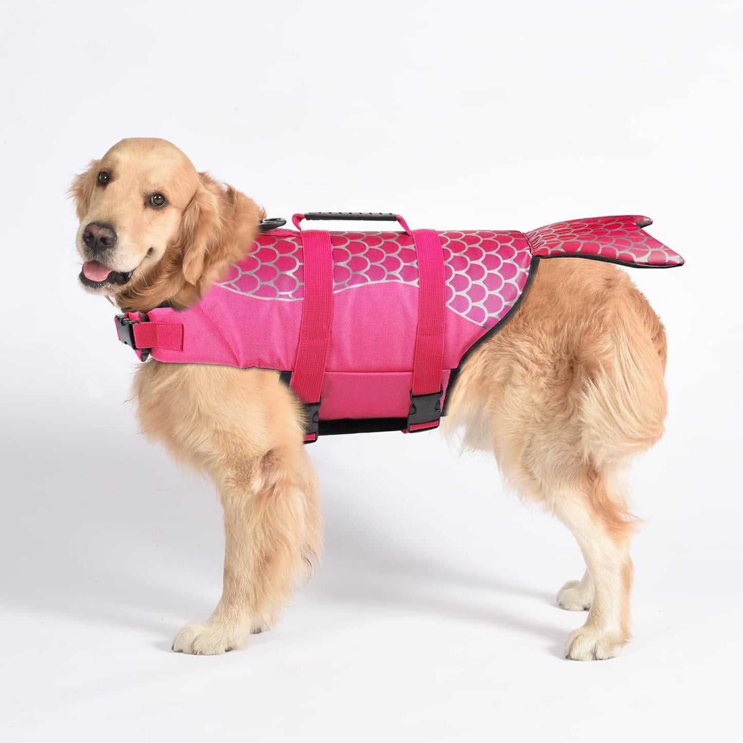 Dog Life Jacket – Swim Safety for All Sizes - Samyonix