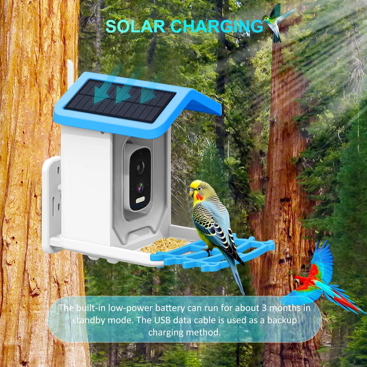 Solar Bird Feeder Camera - WiFi Smart Outdoor Feeder - Samyonix