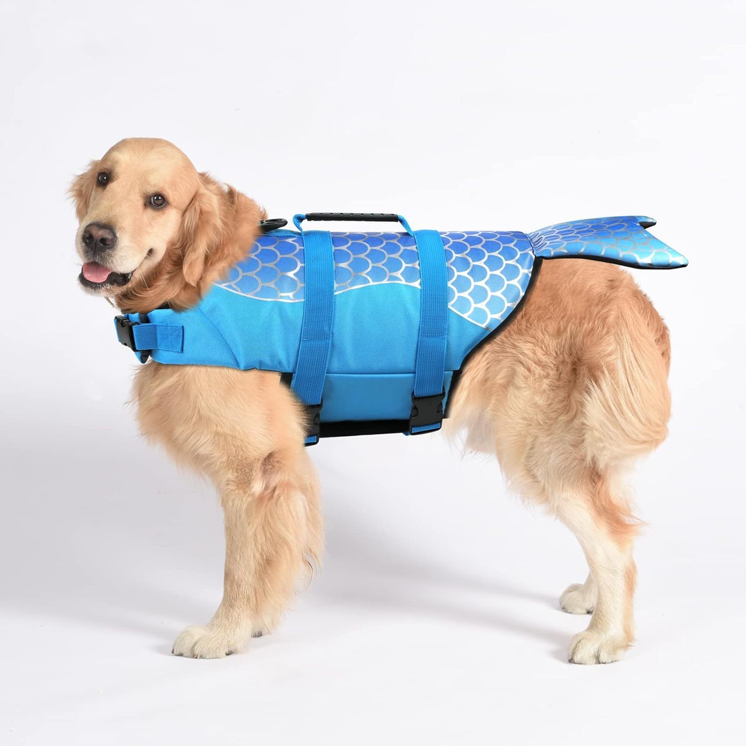 Dog Life Jacket – Swim Safety for All Sizes - Samyonix